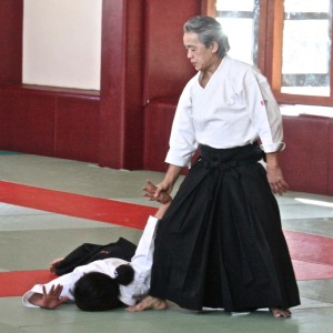 Dojo-Aikido-Takemusu-Aiki-cours-takeji-tomita-sensei5