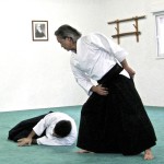 Dojo-Aikido-Takemusu-Aiki-demo